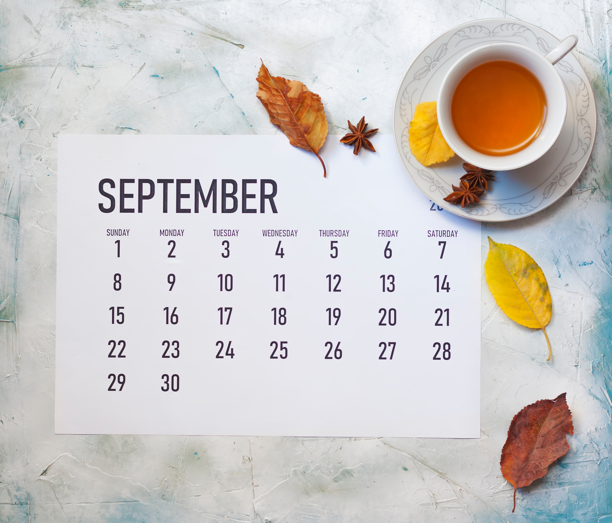 Monthly September 2019 Calendar